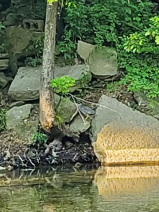 Creekside Campground 1 6