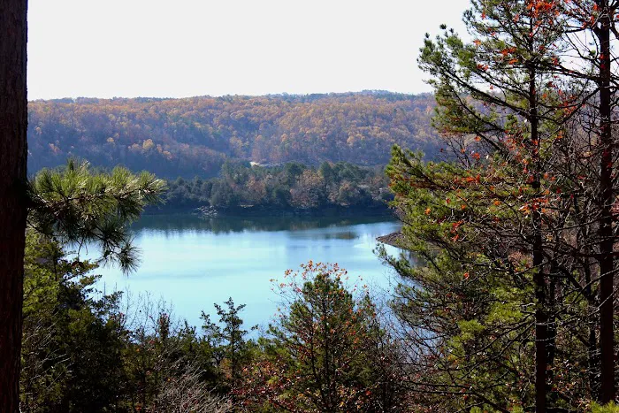 Beaver Lake Glamping & RV Resort 5