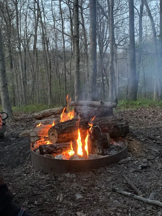 Pigeon Roost Campsite 3 6