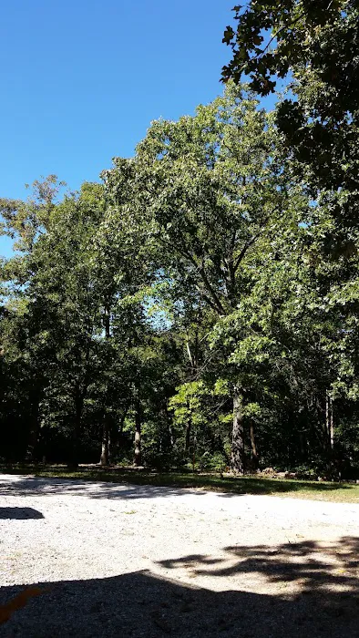 Rogers Pea Ridge Garden RV 9