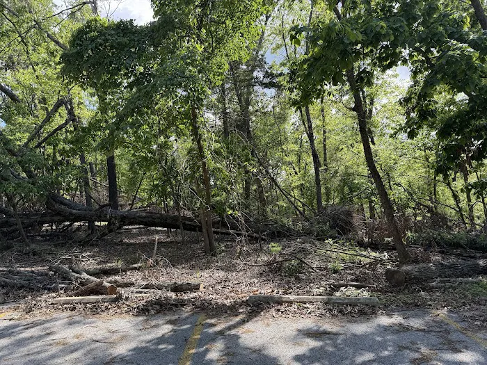 Prairie Creek Campground 10