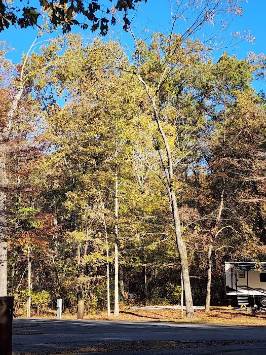 Withrow Springs State Park Campground 3