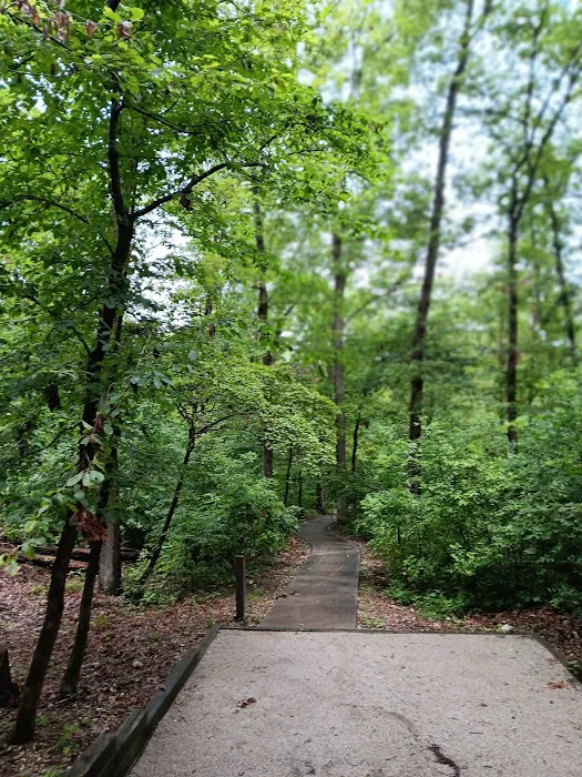 Withrow Springs State Park Campground 7