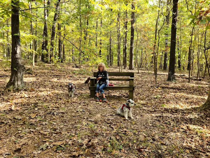 Withrow Springs State Park Campground 4