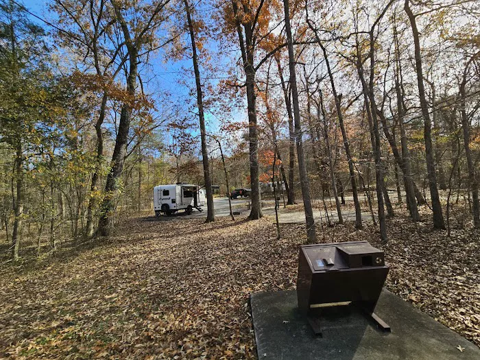 Withrow Springs State Park Campground 9