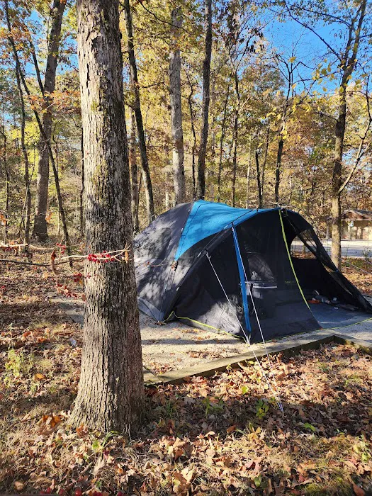 Withrow Springs State Park Campground 8