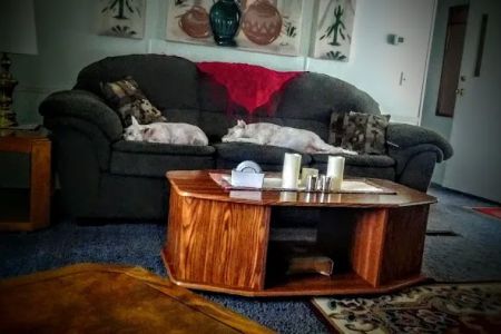 Park Plaza Mobile Estates and RV Park