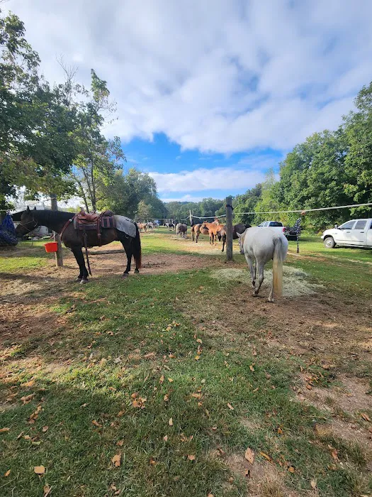 Underwood's Crag-O-Lea Campground 10