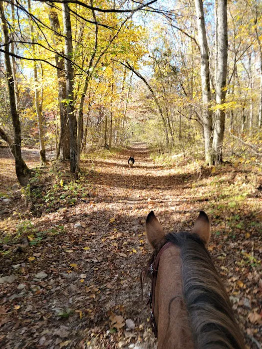 Underwood's Crag-O-Lea Campground 4