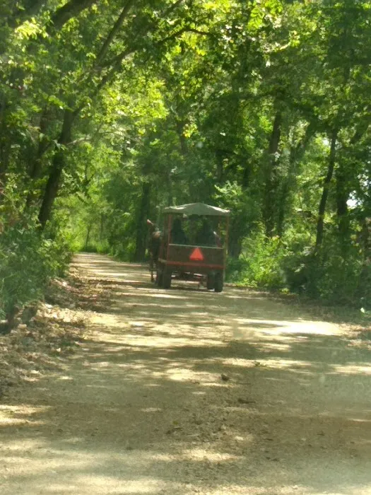 Ponderosa Trails 3