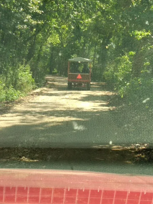 Ponderosa Trails 2