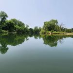 Campground at the Falls