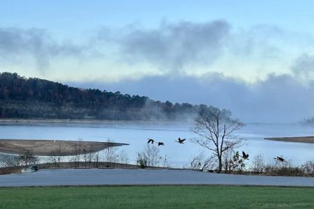 Horseshoe Bend Campground