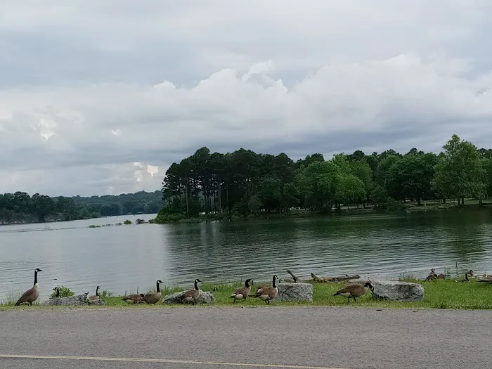 Horseshoe Bend Campground 6