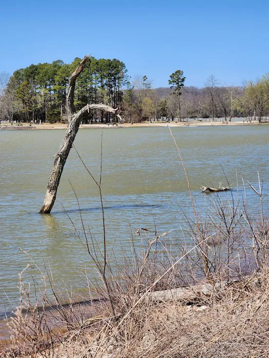 Horseshoe Bend Campground 9