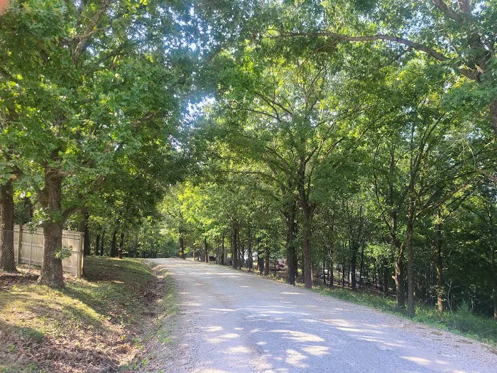 Beaver Lake RV Resort 5