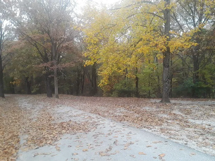 Beaver Lake RV Resort 3