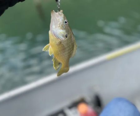 US Army Corps of Engineers