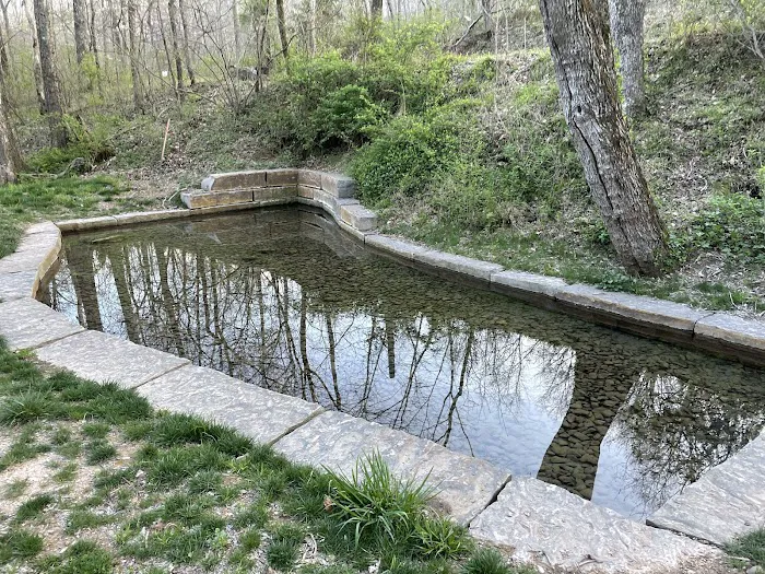 Coler Mountain Bike Preserve Campground 7
