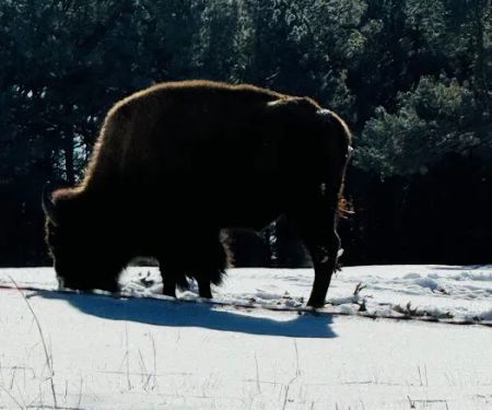 Outskirts of Heaven LLC RV Park & Cabins