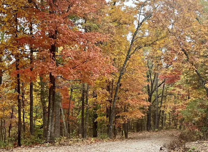 Outskirts of Heaven LLC RV Park & Cabins 10