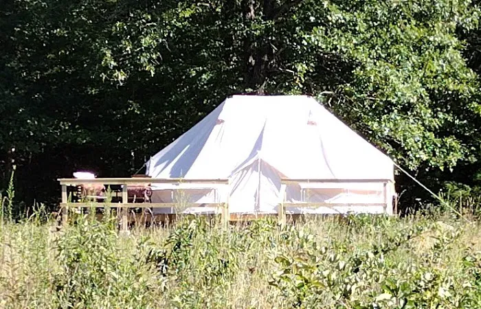 Happy Waterfall Pig Glamping Camp 4