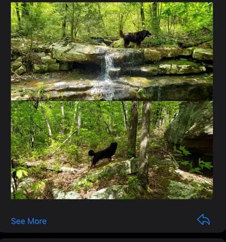 Happy Waterfall Pig Glamping Camp 5