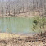 Happy Waterfall Pig Glamping Camp