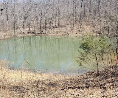 Happy Waterfall Pig Glamping Camp