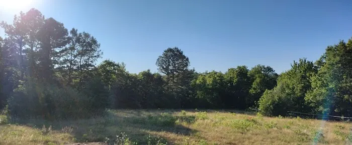 Happy Waterfall Pig Glamping Camp 8