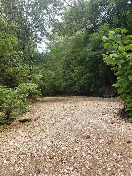 Steel Creek Campground 9