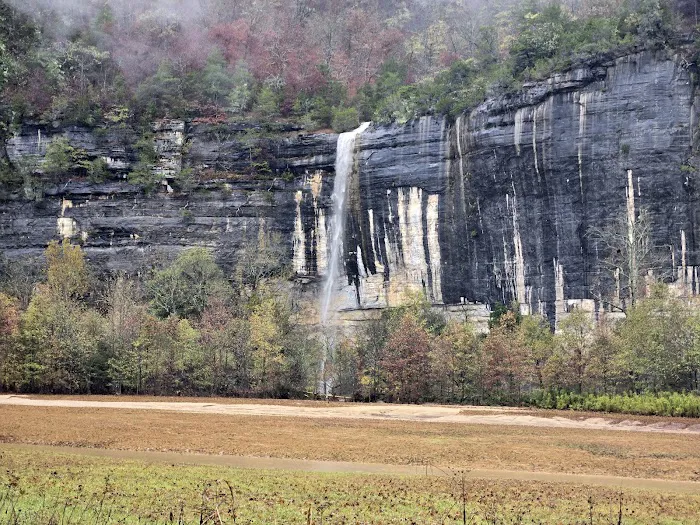 Steel Creek Campground 7