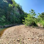 Steel Creek Campground