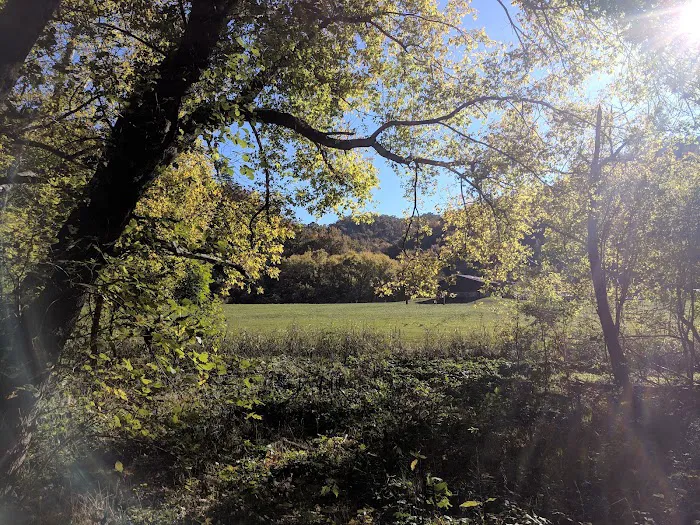 Steel Creek Campground 6
