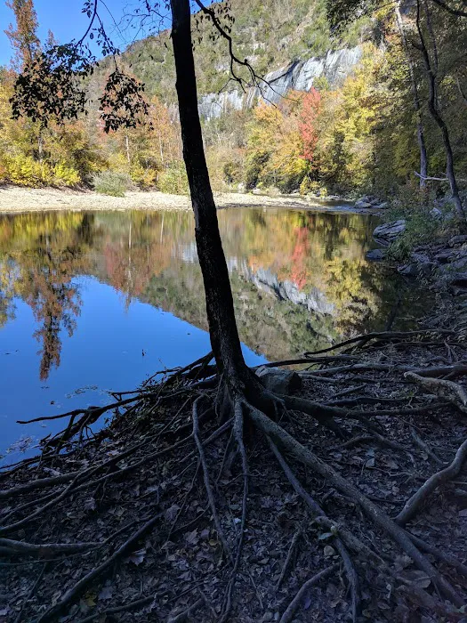 Steel Creek Campground 10