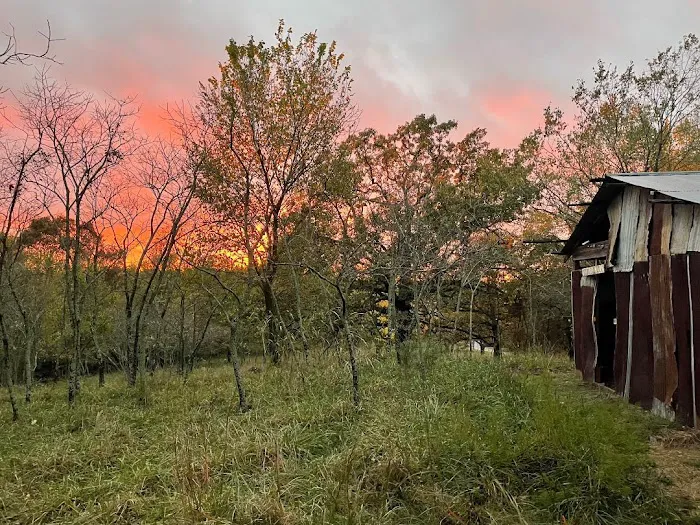 Fitzgerald Mountain RV Camp 5