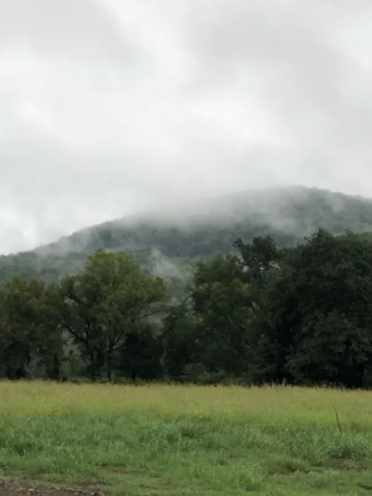 Bleau Valley 4