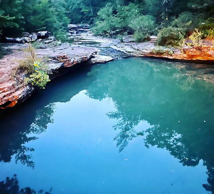 Mill Creek Outfitters 4