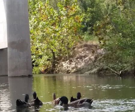 Indian Creek Campground