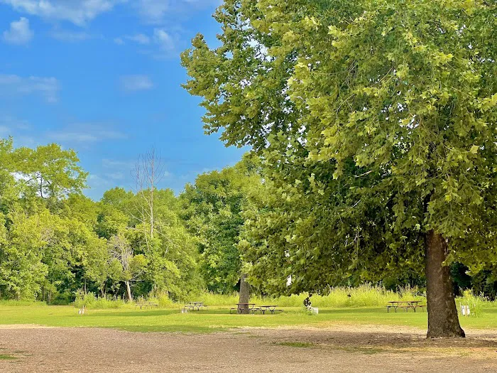 Elk River Campground (Trestle Park) 9