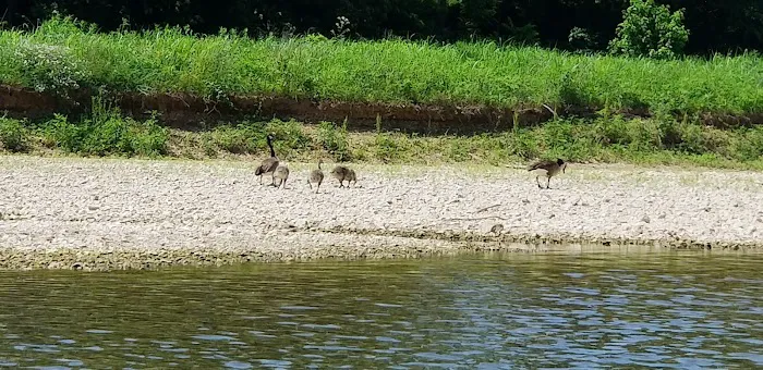 Hog Heaven Canoe & Camp 5