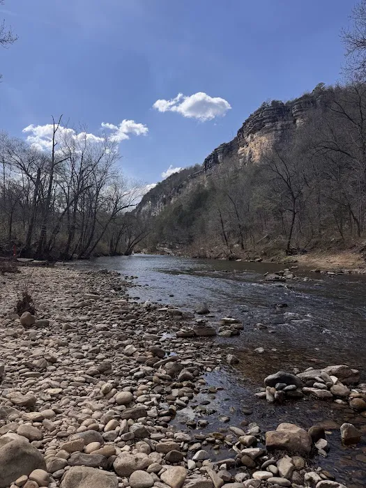 Kyles Landing Campground 2