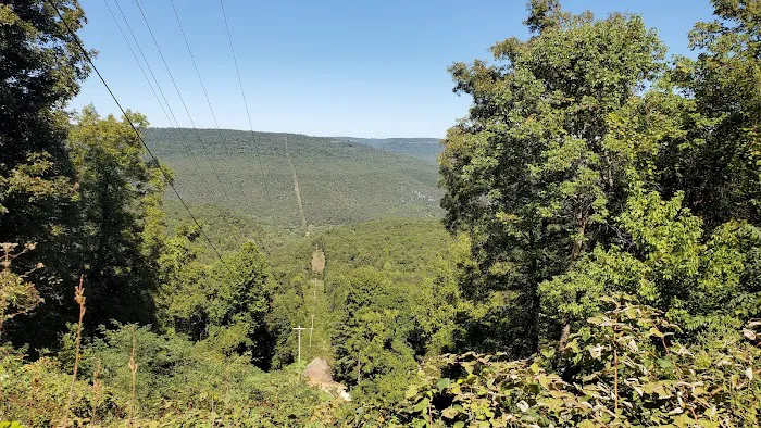 Kyles Landing Campground 6