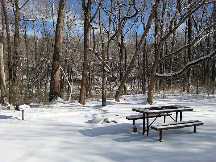 Erbie Campground 1