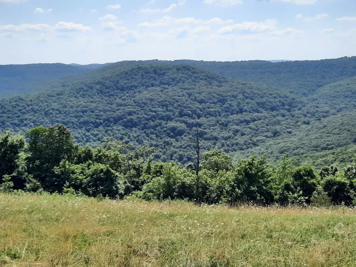 Pettigrew RV Park and Recreational Campground 4