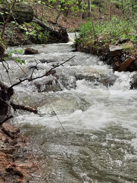 Pettigrew RV Park and Recreational Campground 5