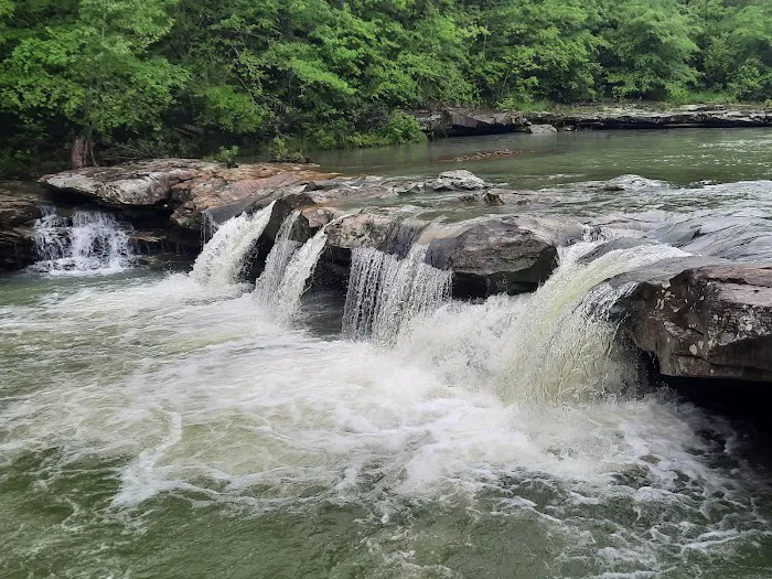 Pettigrew RV Park and Recreational Campground 8