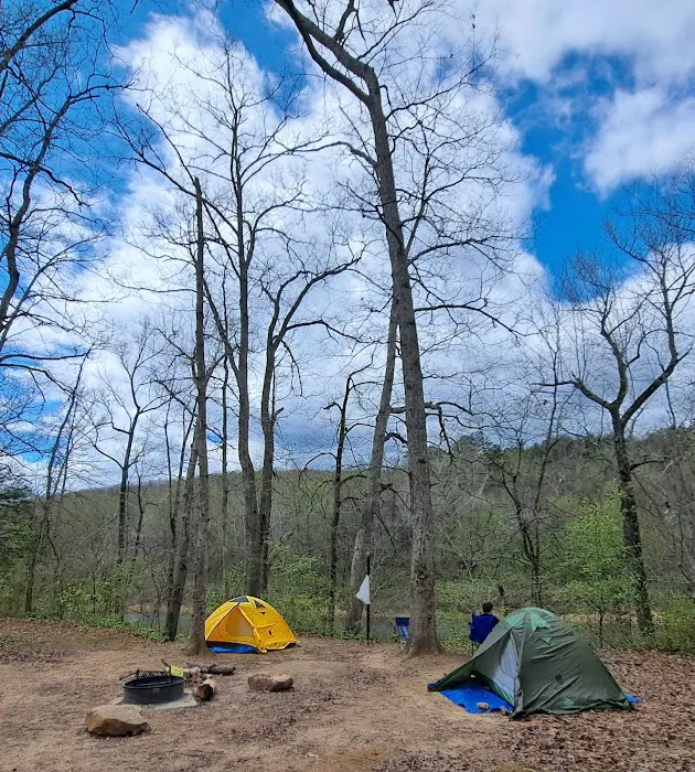 Ozark Campground 6