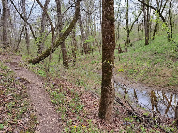 Ozark Campground 5