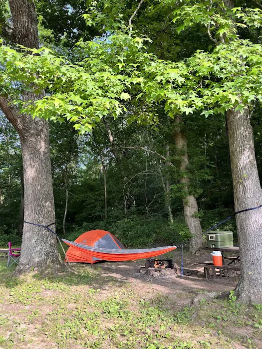 Ozark Campground 10